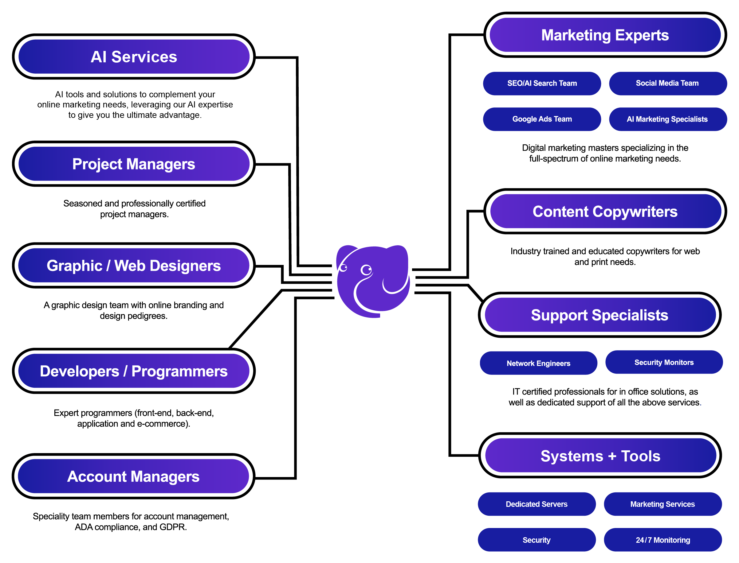 WST TEAM CHARTS 2026 HG